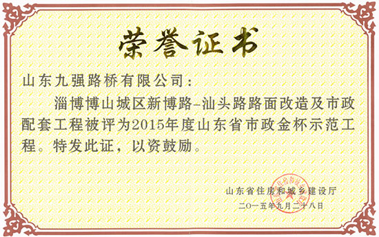 2015年度山东省市政金杯示范工程